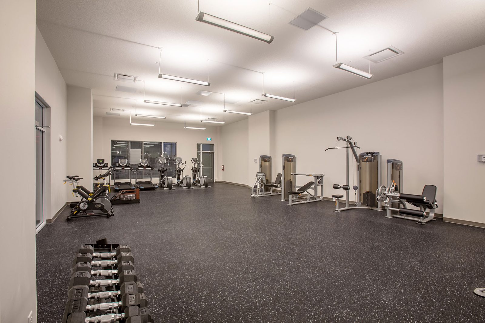 Weights and strength machines in the gym