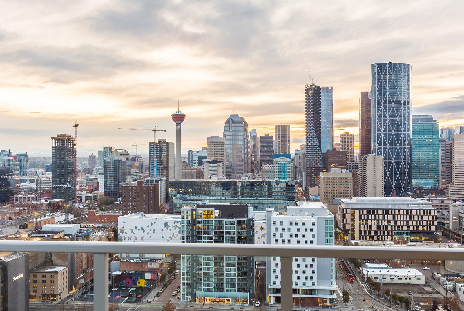 The downtown skyline and the Calgary Tower